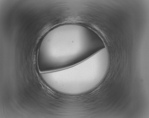 X0000084001459200702160744