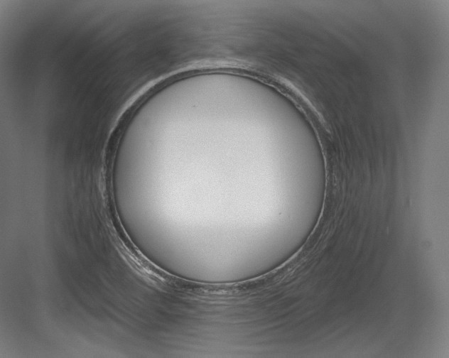 X0000084001460200702160744