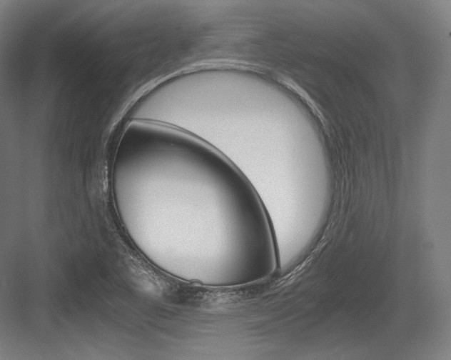 X0000084001461200702160744
