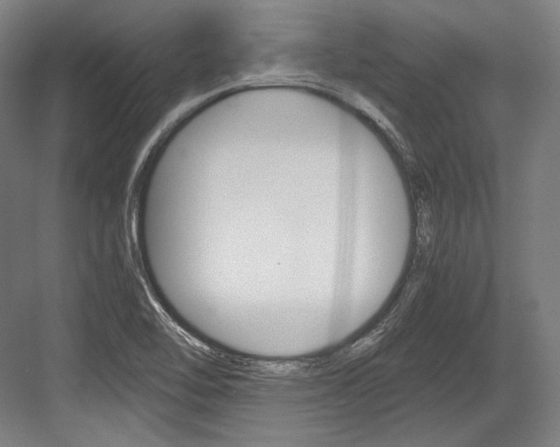 X0000084001462200702160744