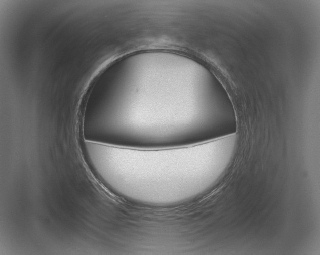 X0000084001463200702160744