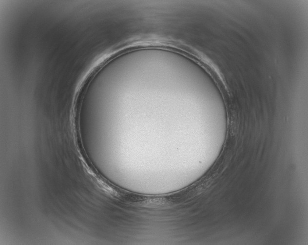 X0000084001464200702160744