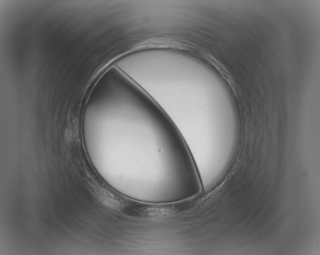 X0000084001465200702160744