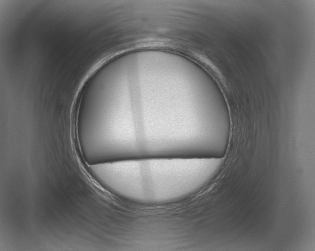 X0000084001467200702160744