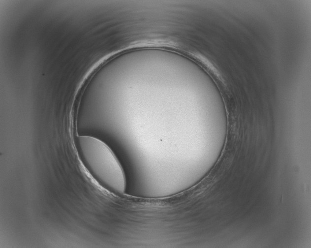 X0000084001468200702160744