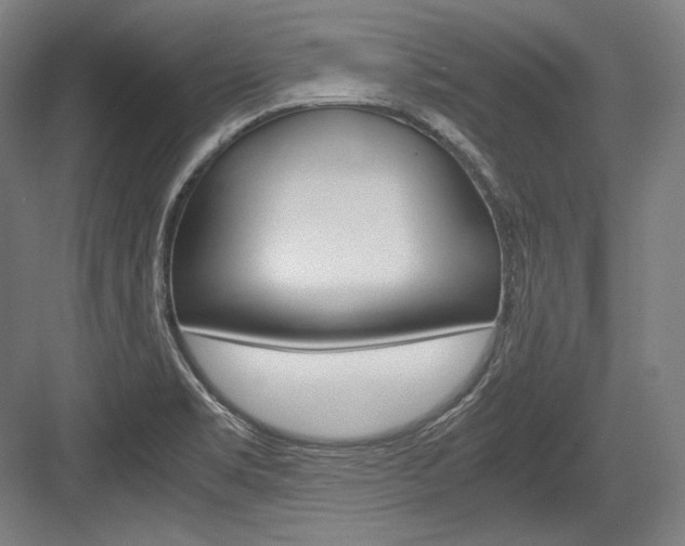X0000084001469200702160744