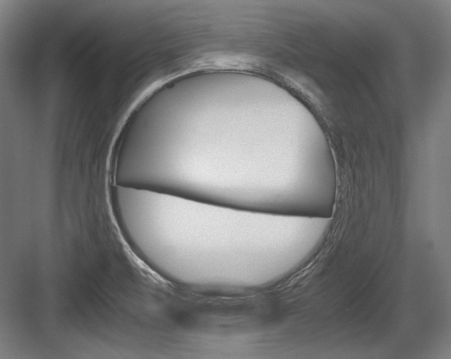 X0000084001471200702160744