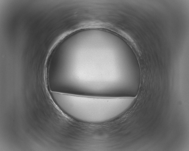 X0000084001472200702160744