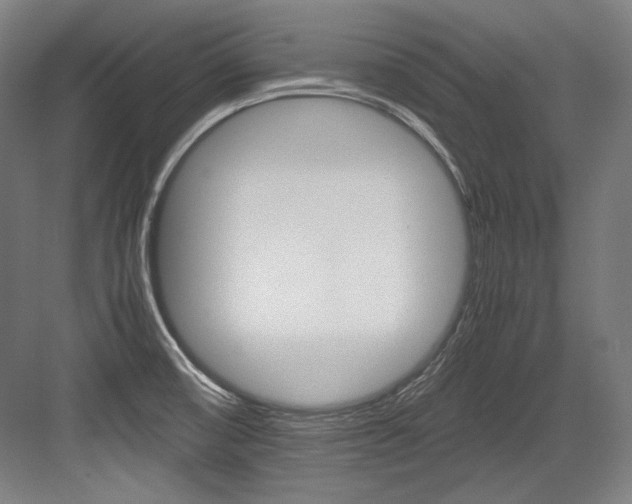 X0000084001474200702160744