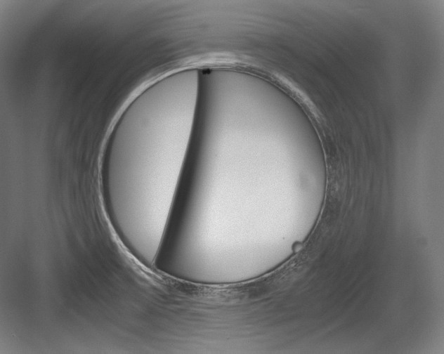 X0000084001475200702160744