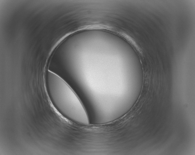 X0000084001476200702160744