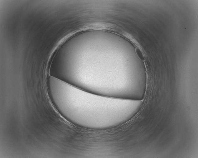 X0000084001477200702160744