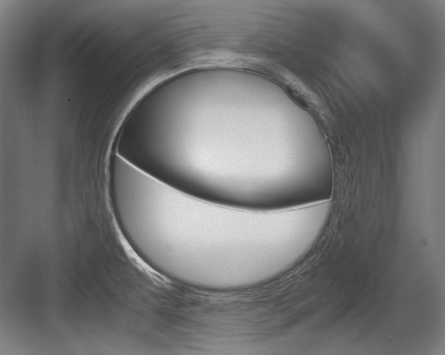 X0000084001479200702160744