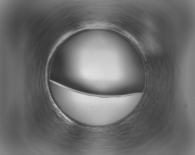 X0000084001480200702160744