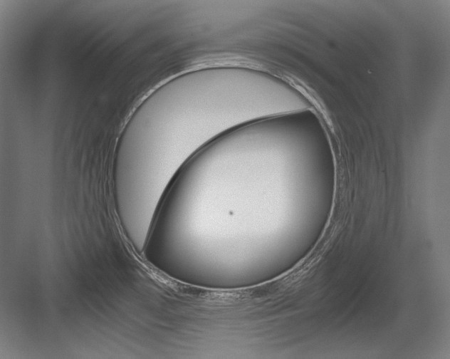 X0000084001481200702160743