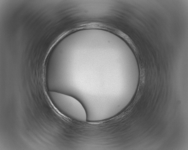 X0000084001482200702160743
