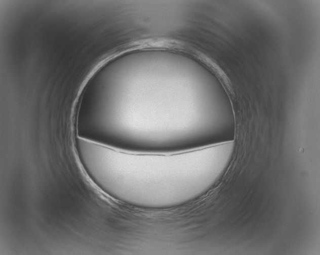 X0000084001483200702160743
