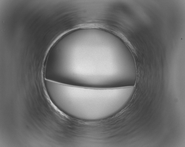 X0000084001484200702160743