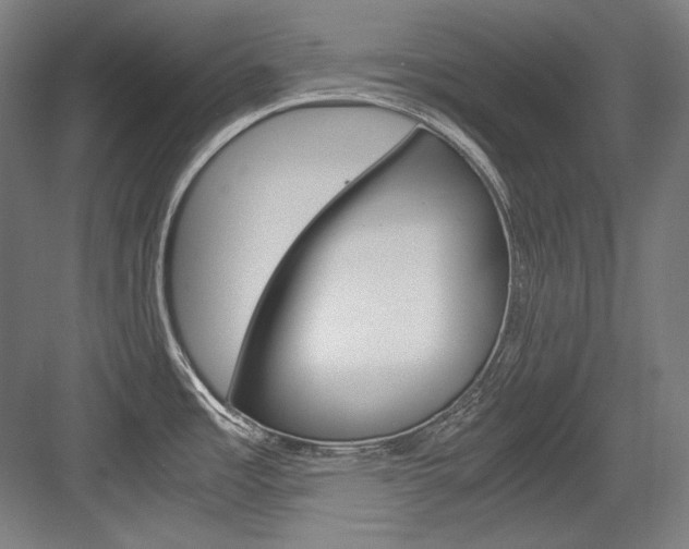 X0000084001485200702160743