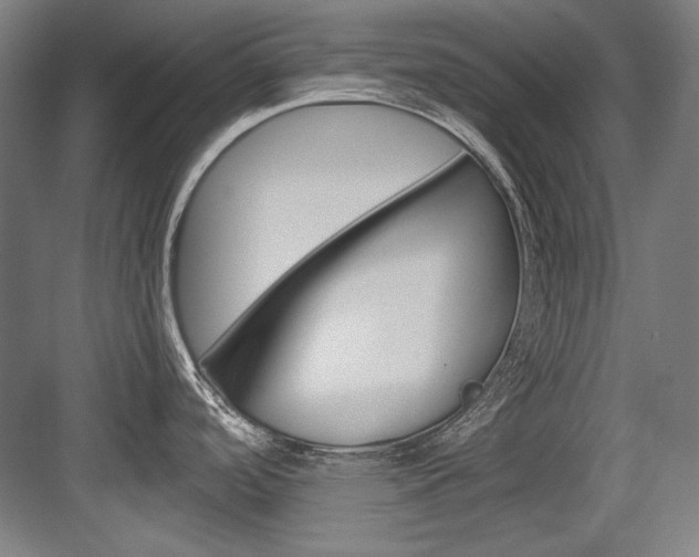 X0000084001488200702160743