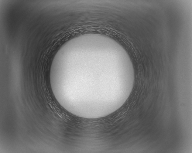 X0000084001489200702160743
