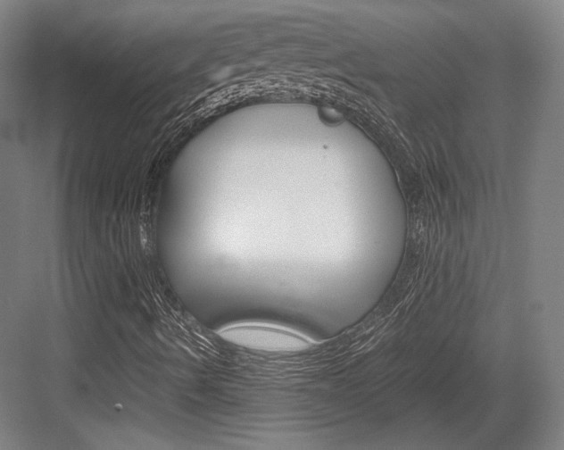 X0000084001490200702160743