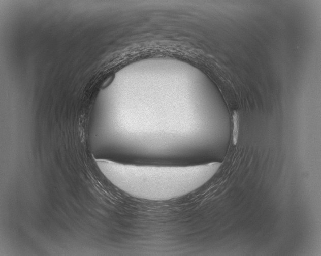 X0000084001491200702160743