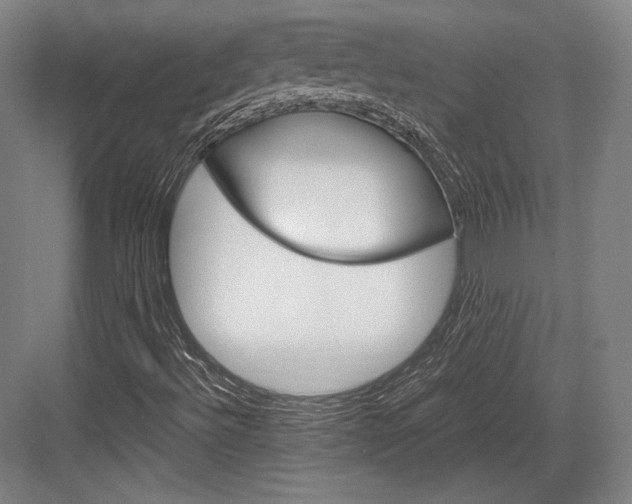 X0000084001492200702160743