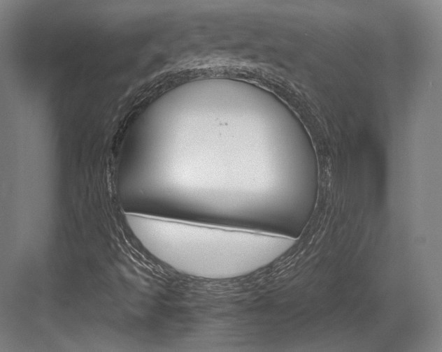 X0000084001493200702160743