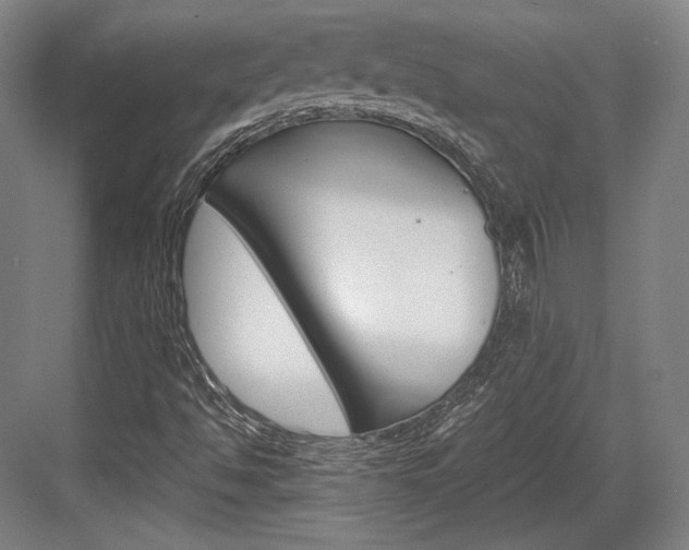 X0000084001494200702160743