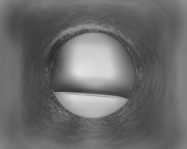 X0000084001495200702160743
