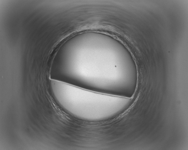 X0000084001497200702160743