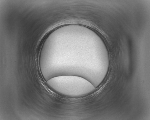 X0000084001498200702160743