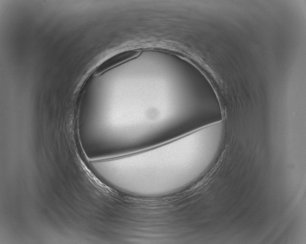 X0000084001500200702160743