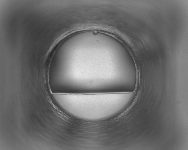 X0000084001501200702160743