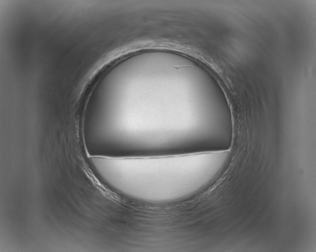 X0000084001503200702160743