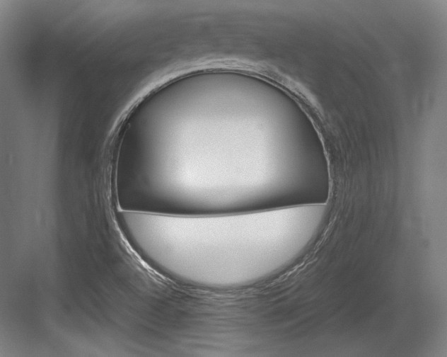 X0000084001504200702160743