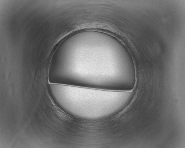 X0000084001505200702160743
