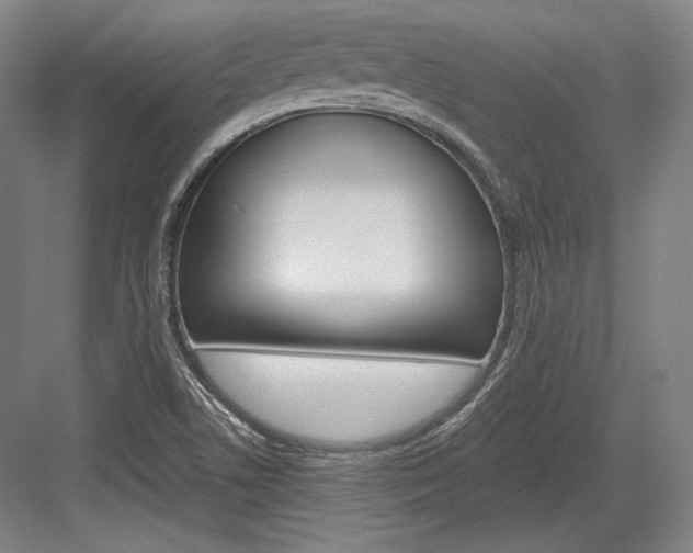 X0000084001506200702160743