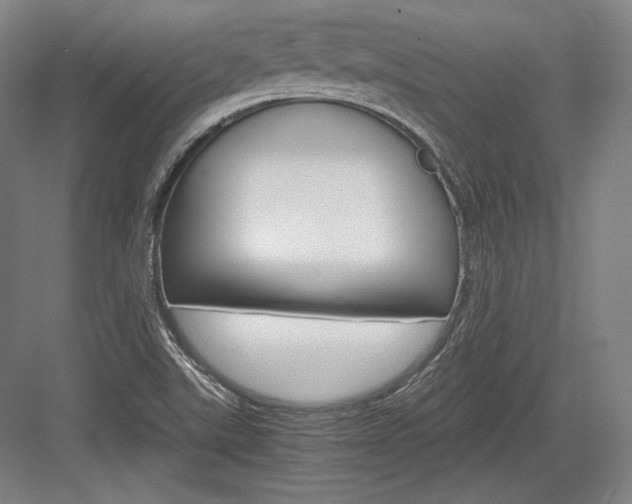 X0000084001507200702160743