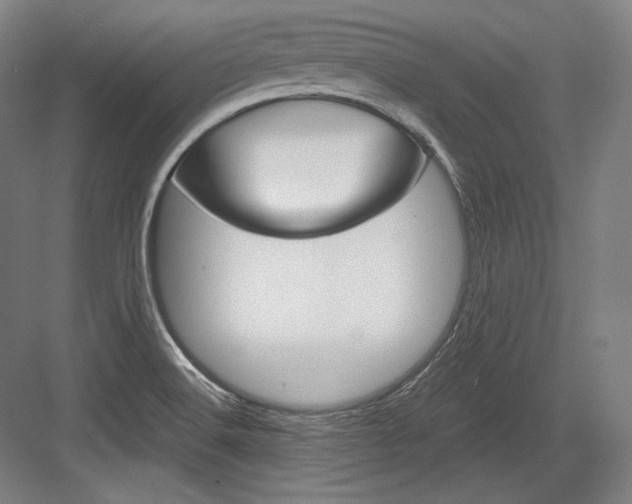 X0000084001516200702160743