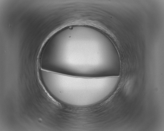X0000084001517200702160743