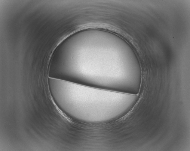 X0000084001521200702160743