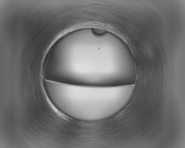 X0000084001523200702160743