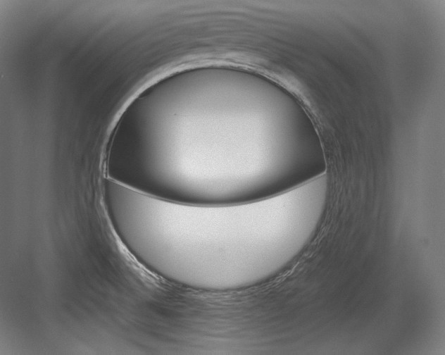 X0000084001524200702160743