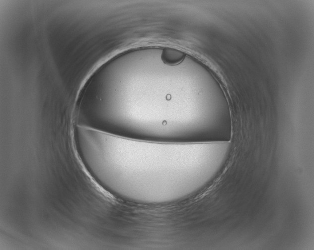 X0000084001525200702160743