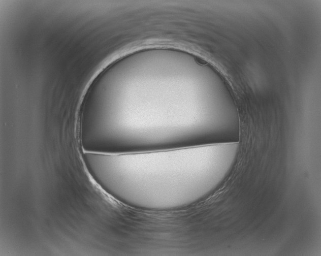X0000084001527200702160743
