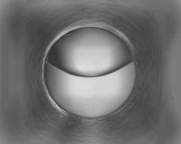 X0000084001528200702160743