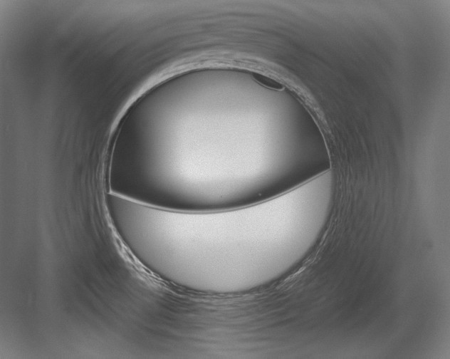 X0000084001530200702160743