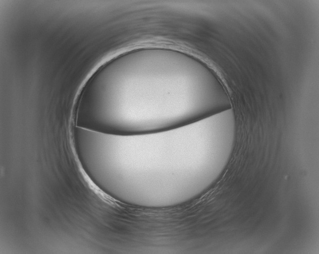 X0000084001531200702160743